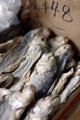 Hongkong  China  getrocknete Fische bei einem Fischhaendler in Sham Shui Po