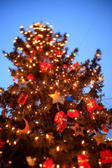 Berlin  Deutschland  erleuchteter und geschmueckter Weihnachtsbaum
