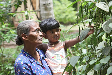 Ambalangoda  Sri Lanka  Frau mit einem Kind auf dem Arm vor einem Pfefferstrauch