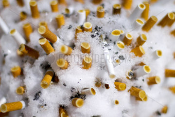 Berlin  Deutschland  Zigarettenkippen im Schnee
