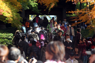 Kamakura  Japan  Menschen am Eingang zum Meigetsu-in Tempel