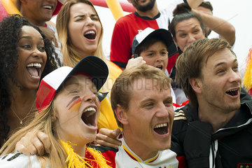 German football fans cheering at match