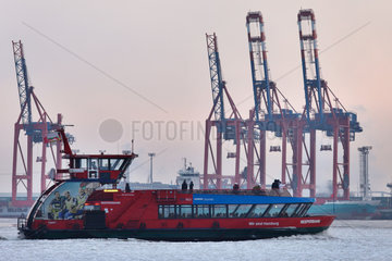 Hamburg  Deutschland  Hafenfaehre und Containerbruecken im Hamburger Hafen