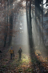 Neu Kaetwin  Deutschland  Kinder laufen mit einem Hund im Streiflicht durch einen Wald