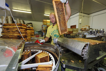 Castel Giorgio  Italien  Imker legt eine Honigwabe in eine Honigschleuder