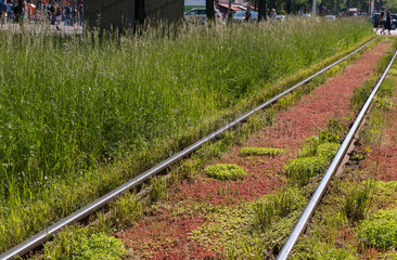 Berlin  Deutschland  Strassenbahnschiene mit Vegetation in der Seestrasse