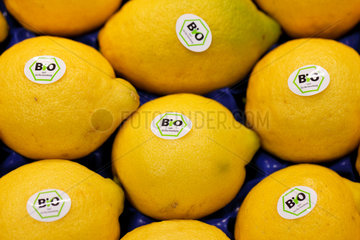 Berlin  Deutschland  Zitronen mit EG-Bio-Siegel auf der Fruit Logistica 2011