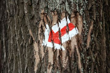 Schreiberhau  Polen  Markierungen an einem Baumstamm