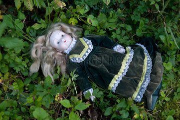 Cered  Ungarn  eine Puppe liegt auf dem Waldboden