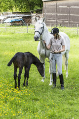 Anja Zepfel mit den Trakehner Pferden *Belle de Jour* [Mutter] (geb. 1999) und Badenfee [Fohlen] (geb. 2013)