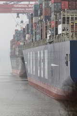 Hamburg  Deutschland  Containerschiffe am Containerterminal Burchardkai