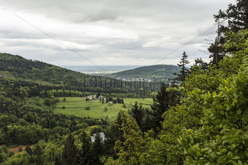Wandern im Stadtwald Baden-Baden