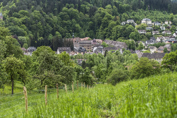 Blickauf das Kloster Lichtental
