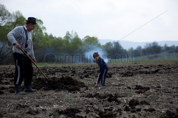 Sighet  Rumaenien  Grossvater und Enkel bei der Feldarbeit