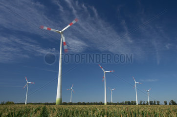 Schwanebeck  Deutschland  Windraeder inmitten eines Maisfeldes