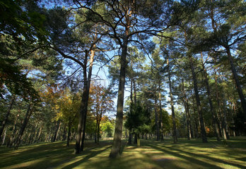 Halbe  Deutschland  Waldfriedhof