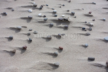 Kolberg  Polen  Kieselsteine und Muschelschalen am Strand