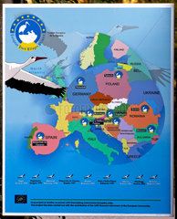 Cigoc  Kroatien  Karte der Europaeischen Storchendoerfer am Storchenzentrum in Cigoc
