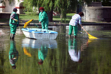 Budapest  Ungarn  ein Teich wird von Algen befreit