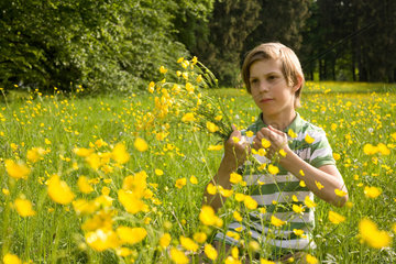 Potsdam  Deutschland  ein Junge pflueckt Blumen auf einer Wiese