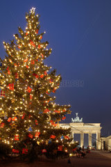 Berlin  Deutschland  erleuchteter und geschmueckter Weihnachtsbaum