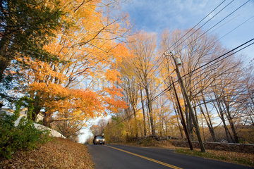 Wilton  USA  ein LKW faehrt im Herbst eine leere Strasse entlang