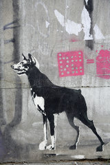 Berlin  Deutschland  Portraet eines Hundes auf einer Wand in der Gipsstrasse