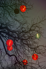 Berlin  Deutschland  Lampion-Lichterkette in einem Baum