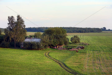 Drozdawa  Weissrussland  Bauernhof mit Feldern