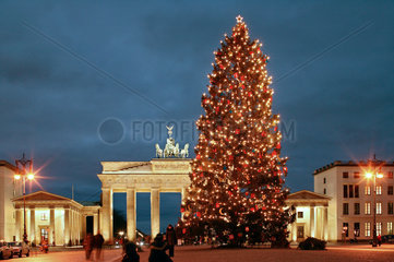 Berlin  Deutschland  Weihnachtsbaum am Pariser Platz