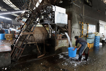 Tokio  Japan  ein Mann holt sich Crushed-Eis auf dem Tsukiji-Fischmarkt
