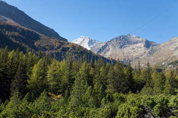 Cavaglia-Ebene  Schweiz  Blick Richtung Puschlavtal