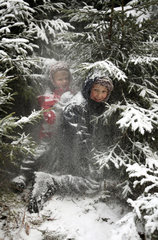 Belloe  Schweden  Kinder sitzen unter einem schneebedeckten Tannenbaum