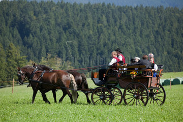 Sankt Maergen  Deutschland  eine Pferdekutsche wird von Schwarzwaldpferden gezogen