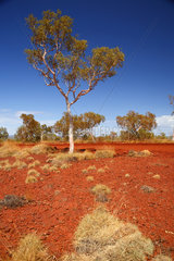 Tom Price  Australien  Farben des australischen Outbacks