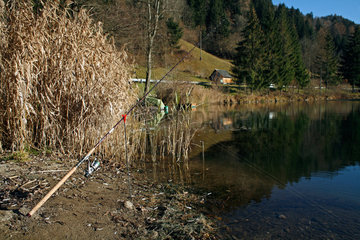 Afritz am See  Oesterreich  festgemachte Angelrute am Ufer des Afritzer Sees