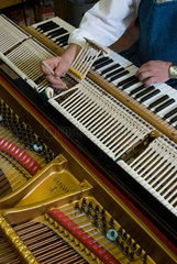 Aldingen  Deutschland  Klavier und Instrumentenbauer