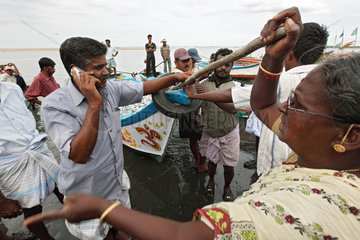 Annankoil  Indien  Fischhaendler mit frisch gefangenem Fisch im Fischereihafen