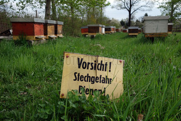Berlin  Deutschland  Warnschild - Vorsicht  Stechgefahr  Bienen -