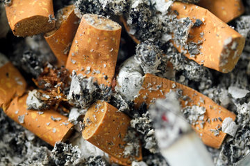 Berlin  Deutschland  Nahaufnahme ausgedrueckter Zigaretten in einem Aschenbecher