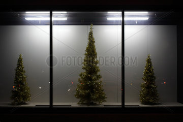 Berlin  Deutschland  drei kuenstliche Weihnachtsbaeume in einem Schaufenster