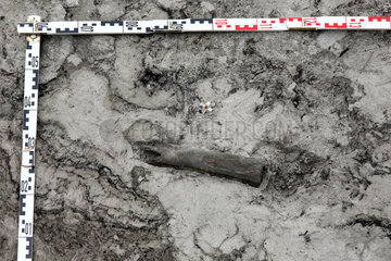 Cottbus  Deutschland  archaeologische Ausgrabungsstaette im Braunkohletagebau Jaenschwalde