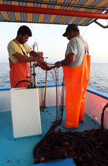 Alicudi  Italien  Fischer holen eine Languste aus einem Fischernetz