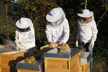 Berlin  Deutschland  Imker kontrollieren ihre Bienenvoelker