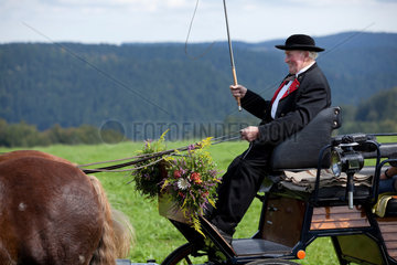 Sankt Maergen  Deutschland  eine Pferdekutsche mit Schwarzwaldpferden