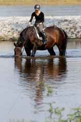 Graditz  Deutschland  Reiterin steht mit ihrem Pferd in der Elbe