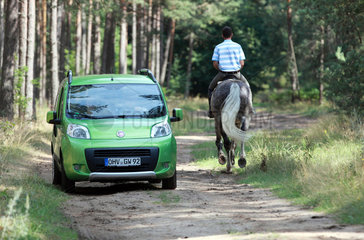 Menz  Deutschland  Reiter trifft im Wald auf ein Auto