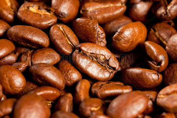 Berlin  Deutschland  industriell geroesteter Kaffee aus afrikanischen Plantagen-Kaffeebohnen