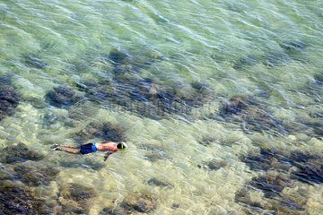 Denham  Australien  ein Mann beim Schnorcheln im Indischen Ozean