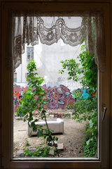 Hamburg  Deutschland  Fensterblick mit Gardinen in den Hof im Gaengeviertel